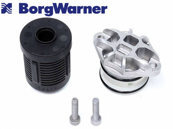 Filtre pour Boîtiers Borgwarner de 4ème génération DS2003085